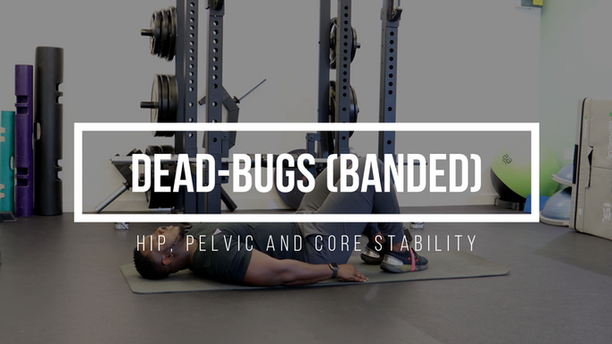 Anti-Extension: Group 2